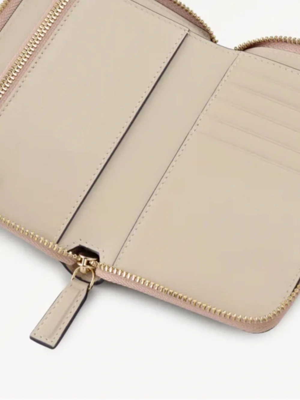 Radley London Midnight Wanderer Beige Leather Zip Wallet with Turtle🐢